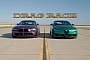 BMW M4 Competition Races Alfa Romeo Giulia Quadrifoglio, It's Not Exactly Close