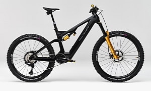 Polestar Flexes Allebike Elize Polestar Engineered Mountain Bike in Additionals Webshop